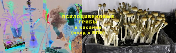 круглые Новозыбков