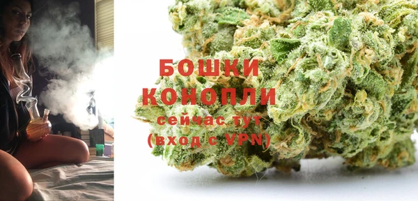 прущие грибы Новокубанск