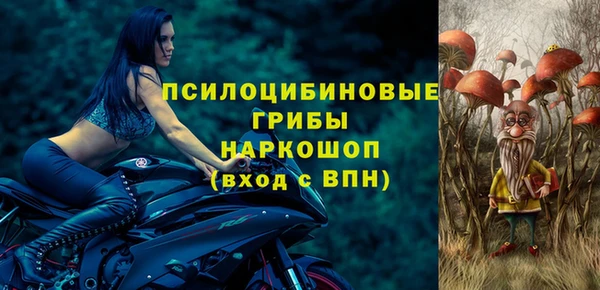 прущие грибы Новокубанск