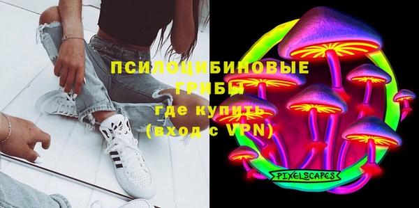 прущие грибы Новокубанск