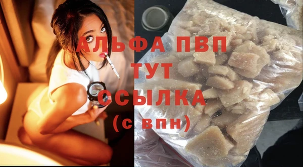 прущие грибы Новокубанск