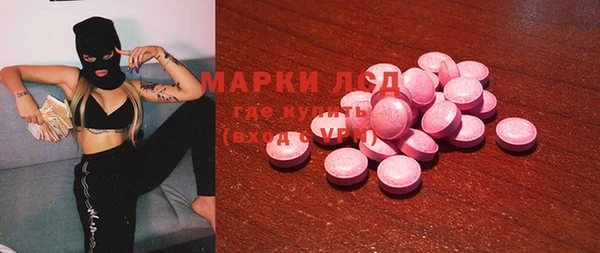 прущие грибы Новокубанск