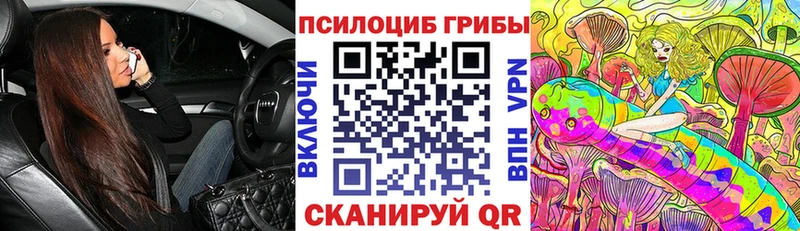 Галлюциногенные грибы мицелий что такое Сафоново