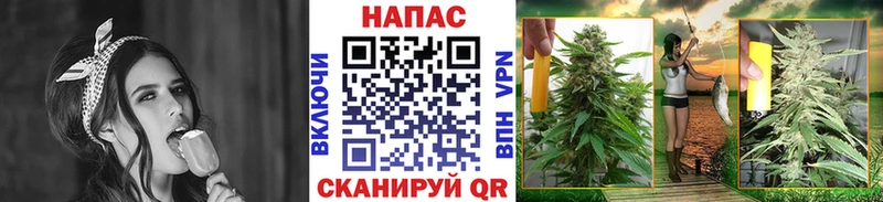 Марихуана план  блэк спрут рабочий сайт  Сафоново 